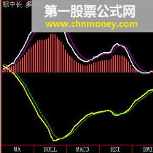 标中长  有公式使用方法