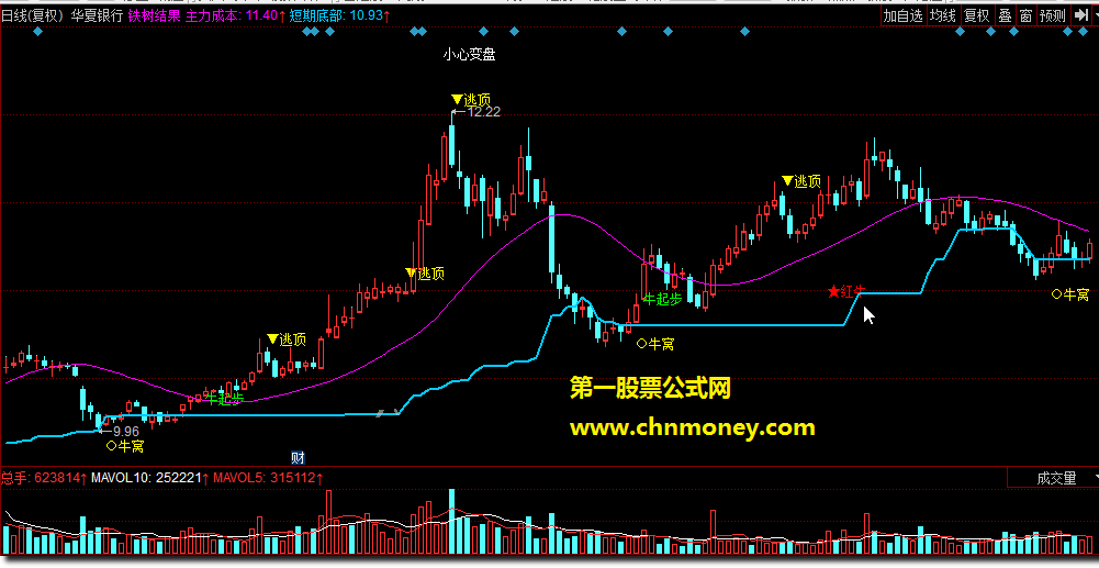 铁树结果