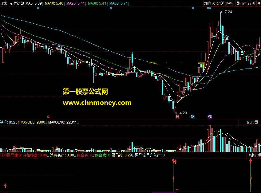 tds黑马建仓，超跌的弹，熊市寻底