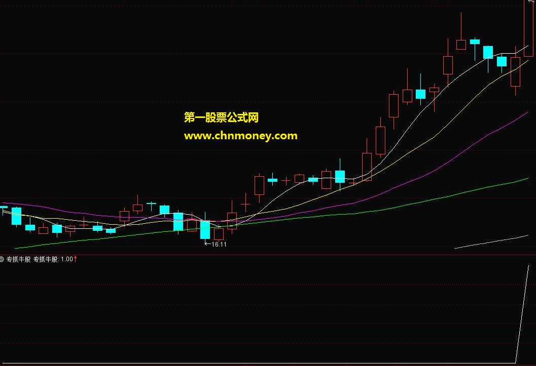 专抓牛股指标