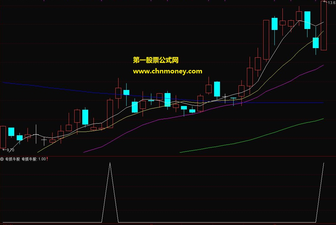 专抓牛股指标