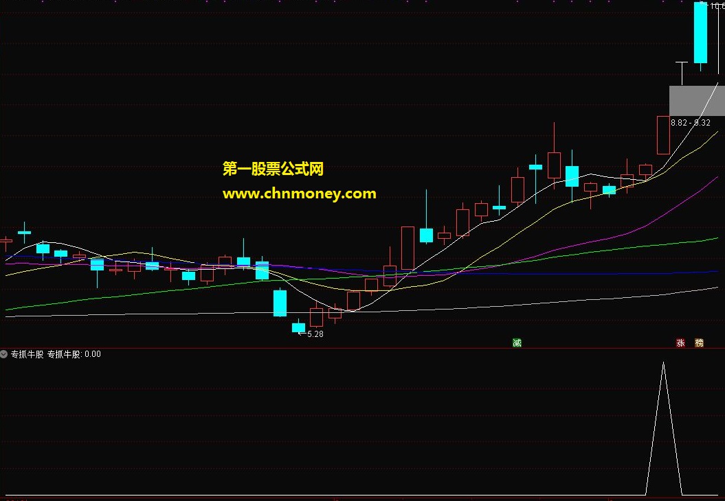 专抓牛股指标