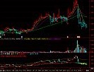 金牛判势