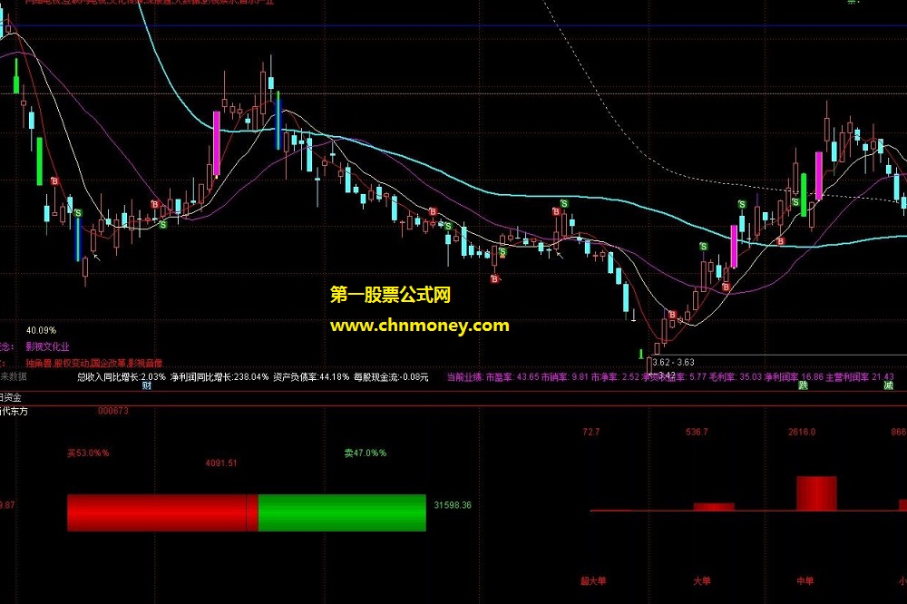 直观看到买卖百分比的当日资金指标
