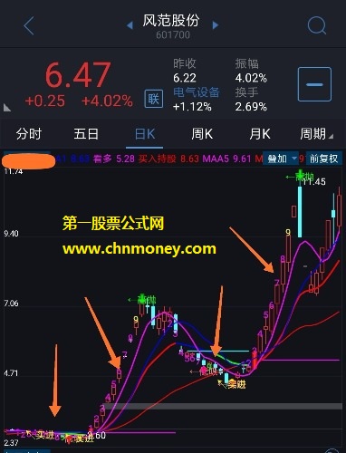 金光大道九转变异主图