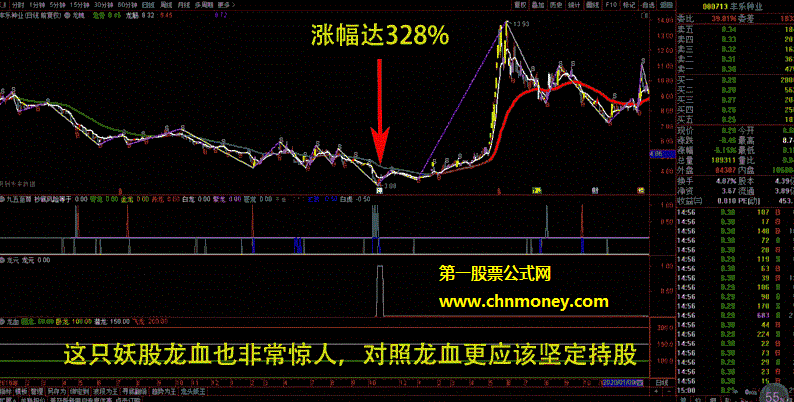 龙元幅图副图无未来原码已被完全加密但无限时指标