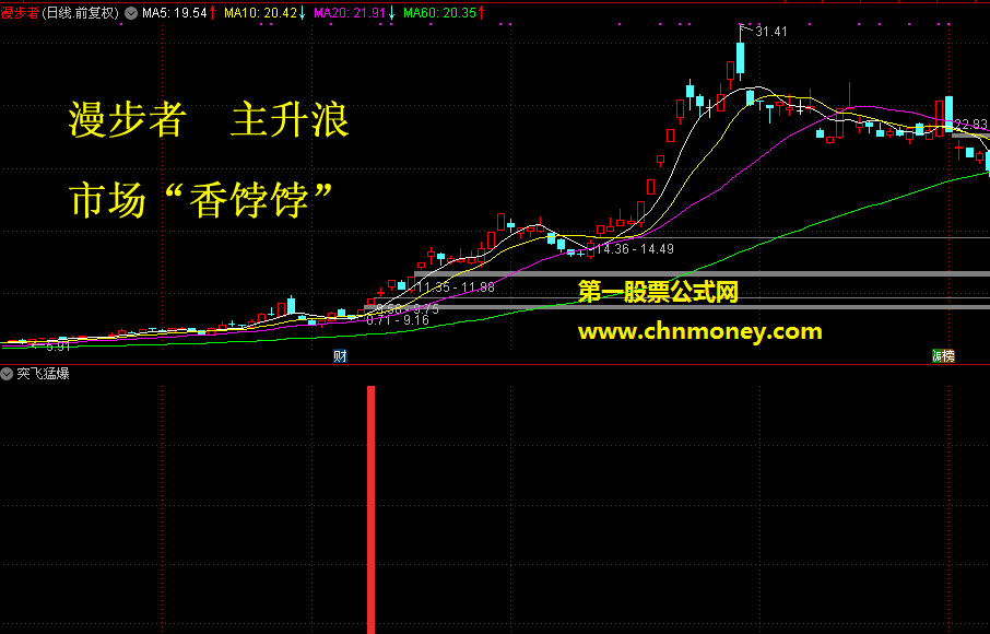 猛龙过江之突飞猛爆选股/副图附实测图不加密而且原码没有未来函数指标