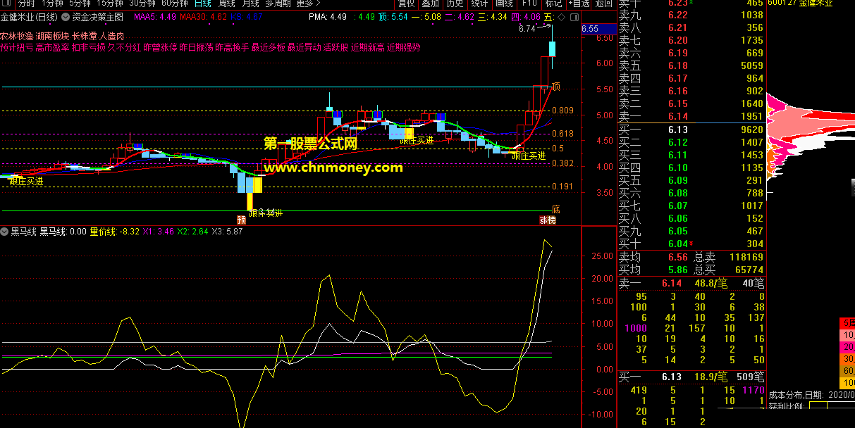 量价黑马线抓牛股副图基于成交量体现主力真实意图很准确指标