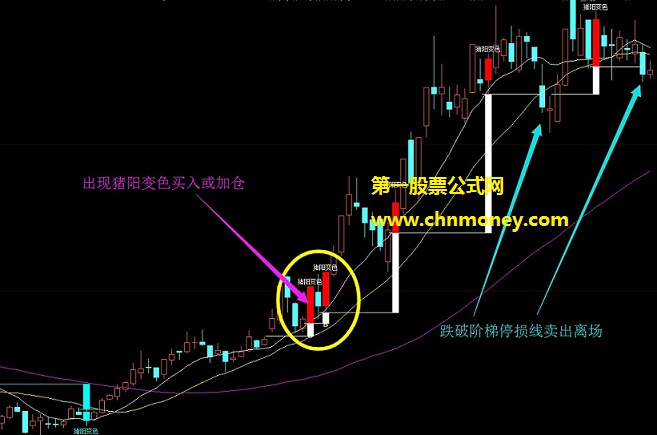 专做突破反转彻底改变涨跌局面的猪羊变色主图公式