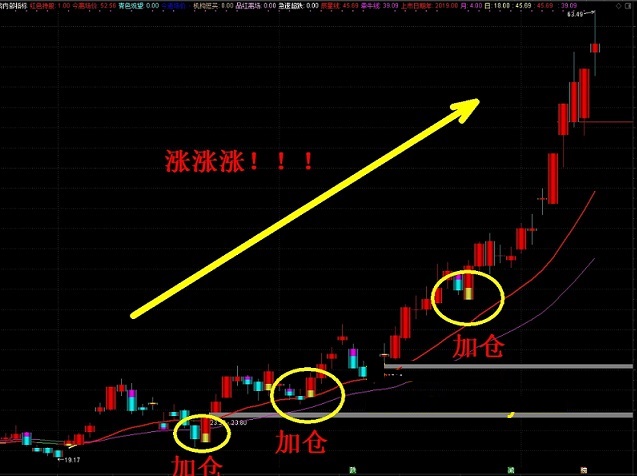 机构内部指标2.0指标（主图 通达信 贴图）两线顺上拿住，附图且带详细说明