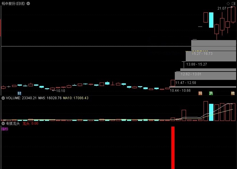 专抓龙头指标，你们想要的它来了，通达信，副图，实测图