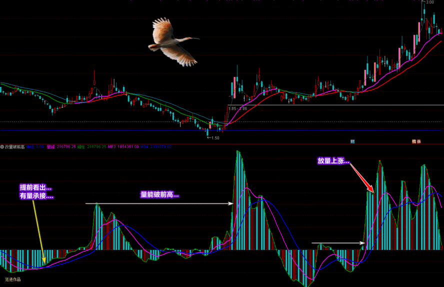 廷进《改量破前高》又一成交量技术性指标（通达信公式 副图 实测图 源码 不加密）