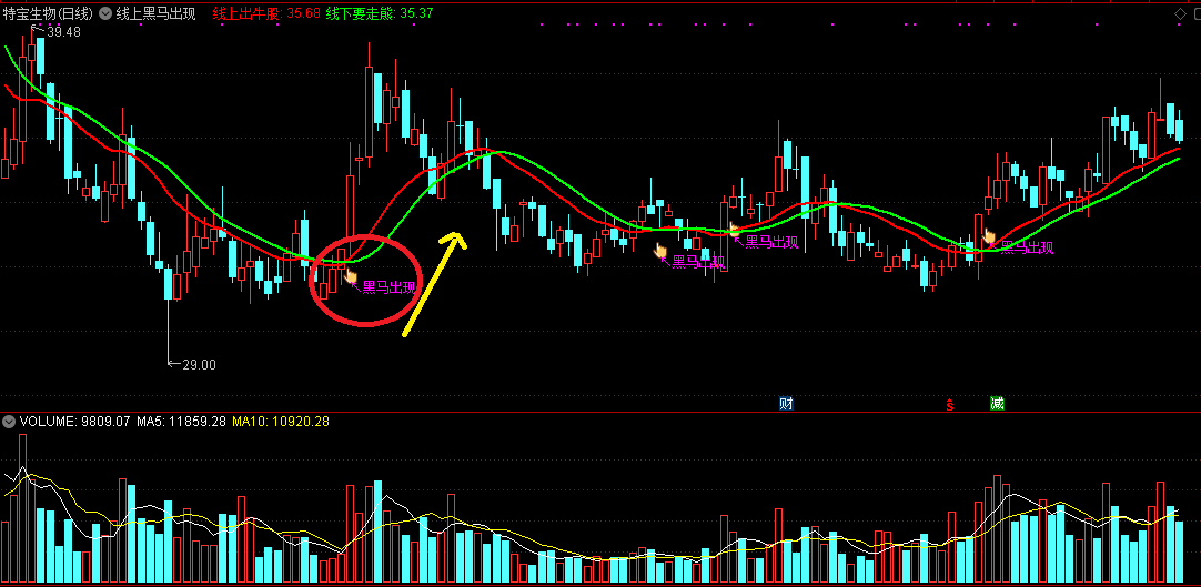 线上黑马出现主图指标，线上出牛股，线下要走熊