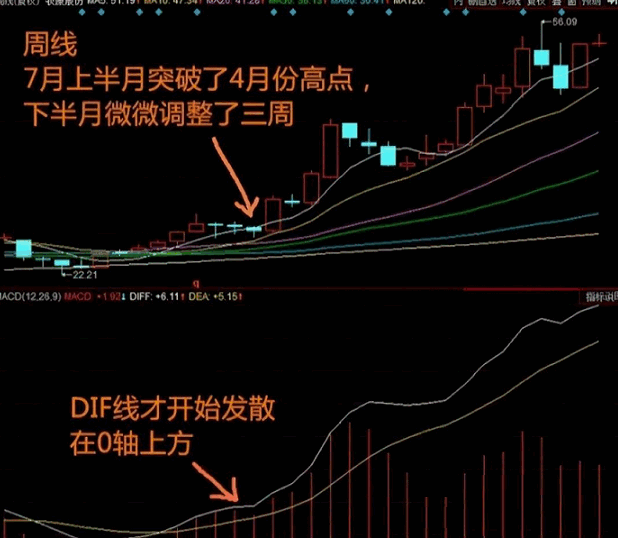 【月线特征选牛】通过月线看趋势技术，学会在底部次次抓暴涨牛股！！