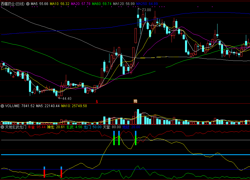 天地玄武龙门（同花顺公式 副图指标 效果图 源码）