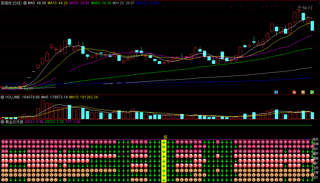 想吃肉来看看——黄金坑共振无未来版指标 通达信 副图 无密码 实测图