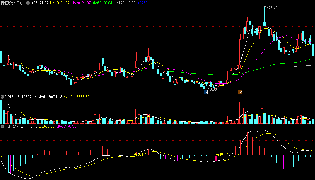 飞扬背离副图指标 专找小牛 通达信 源码 实测图