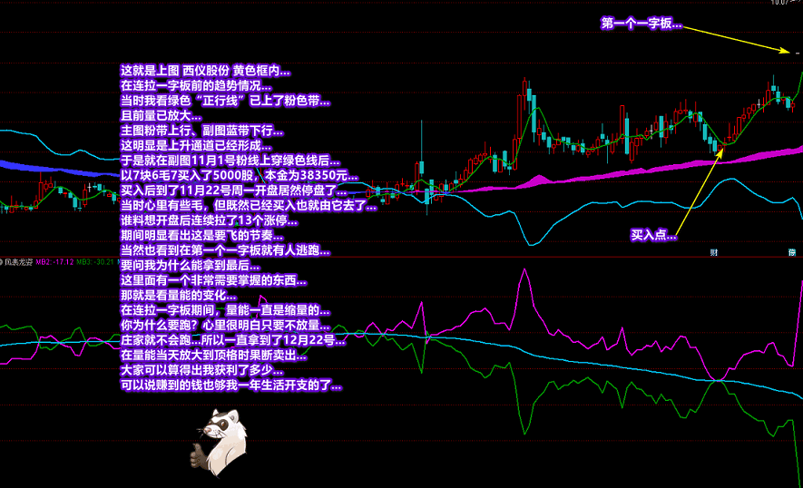 廷进《潜龙伏虎》+《凤表龙姿》主副图及选股 找底、抓牛、提升盘感