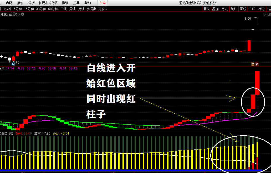 神级指标“神龙入海”+“红凤报喜”，附用法说明，无加密无未来