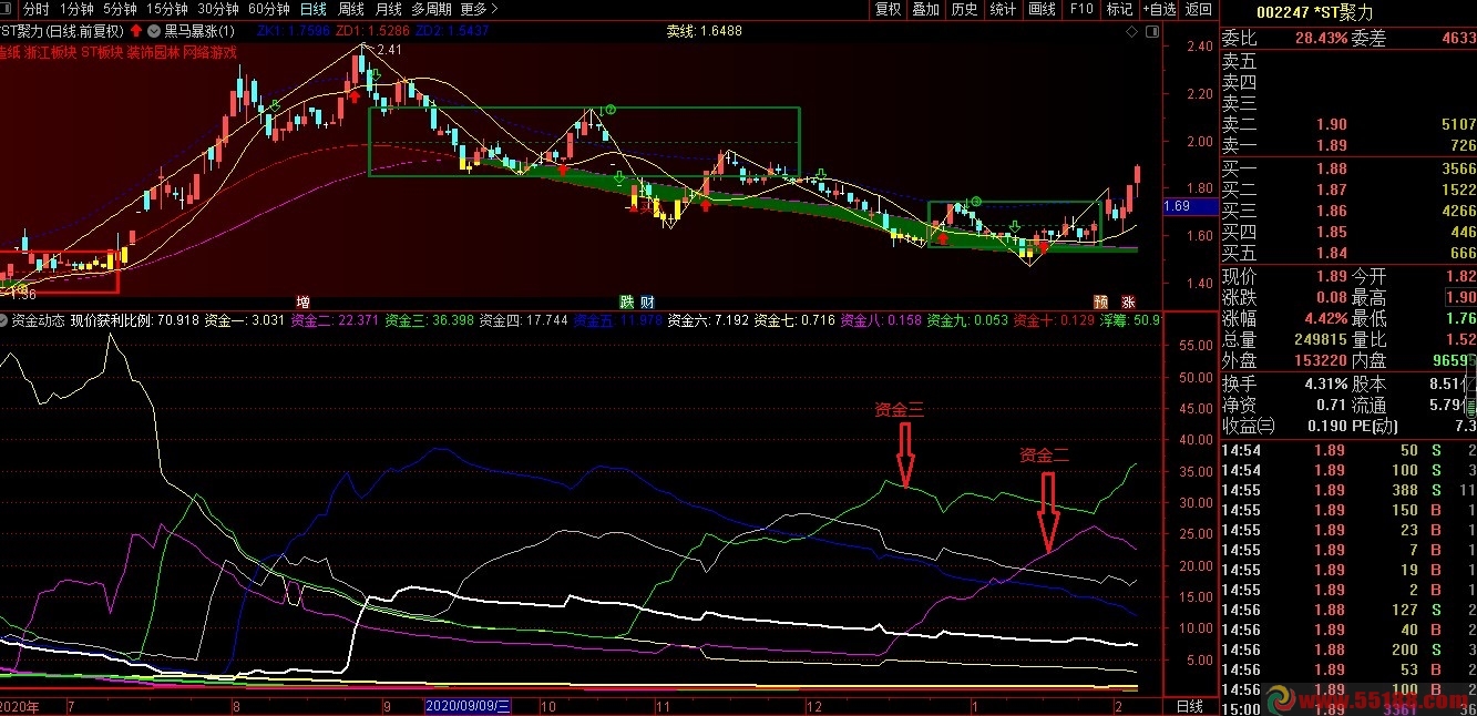 画图显示资金动态副图指标 更易理解 技术指标 通达信 不加密 无未来