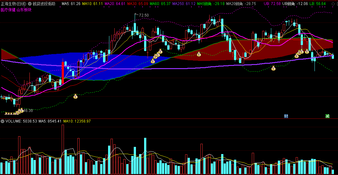 通达信钱袋波段低吸主图指标