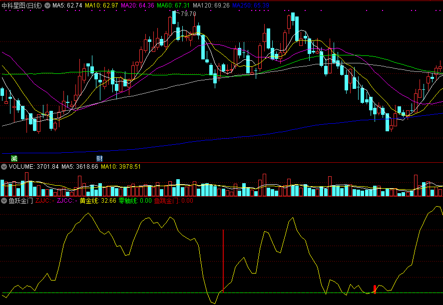 鱼跃金门，助你抄底一臂之力，收费群里买来的指标分享给大家