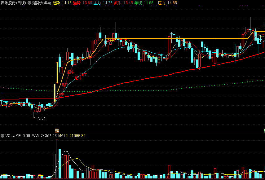 【强势大黑马】主图指标，量能趋势转强，抓强势大牛股！