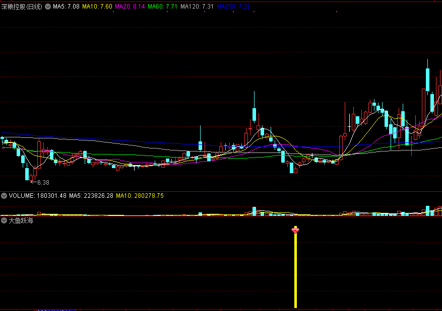 【大鱼跃海】抄底精品，超跌抄底指标，相对低位底部出信号，无未来