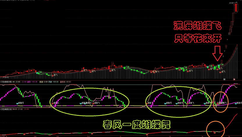 【双色蝴蝶谷三件套●主图+副图1+副图2】无未来 通达信 源码