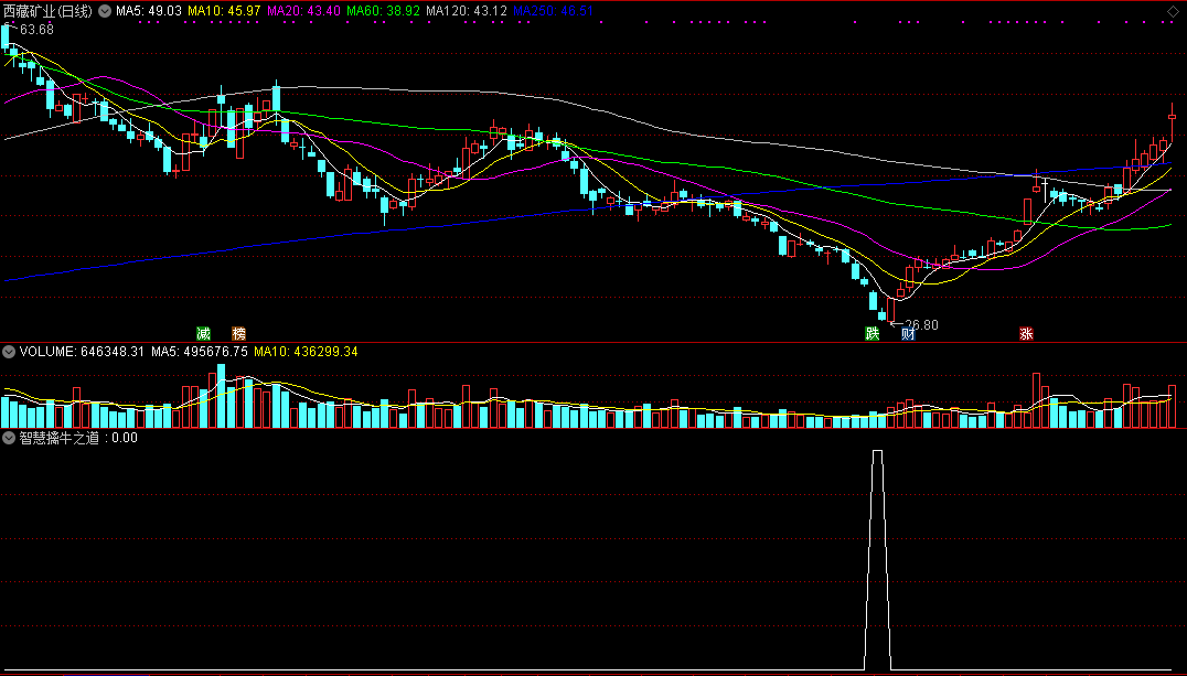 智慧擒牛之道副图/选股指标，交易之道，趋势为王！