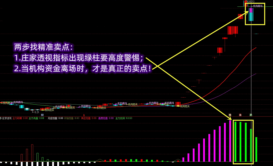 【机构波段王+庄家透视】vip珍藏版共振指标 识别主力砸盘出货 出信号止盈止损 力求利益最大化