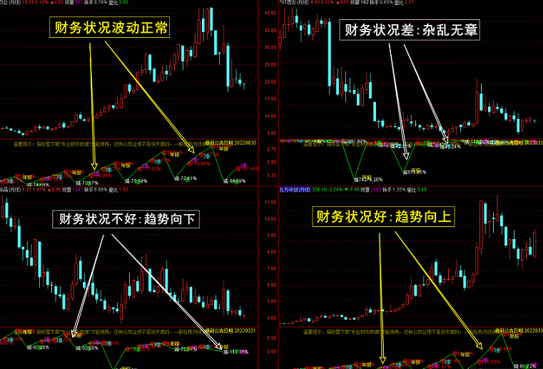 【图形化财务报表】精品指标，教你如何3秒钟看懂财务报表读懂背后数据秘密，通达信 副图 无未来 不加密