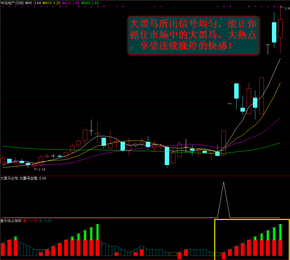 〖大黑马出笼〗副图/选股指标 龙中之王 信号均匀 输少赢大 实战经典之作 通达信 源码