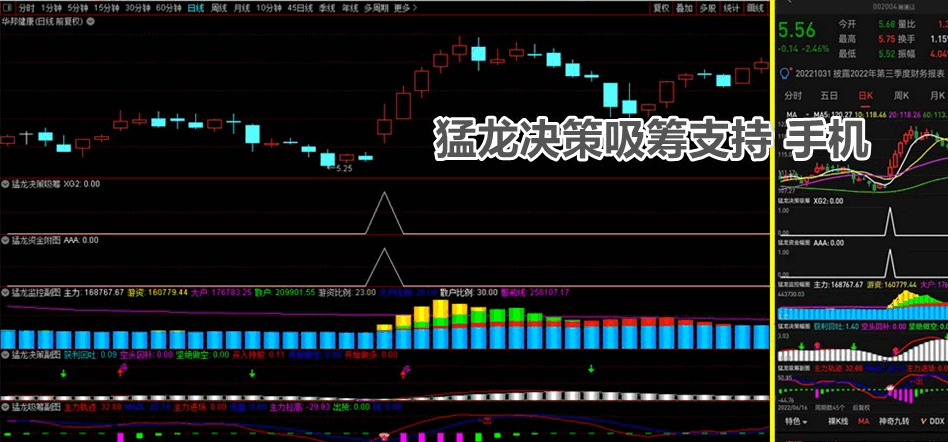 金钻指标〖猛龙决策吸筹〗副图/选股指标 五个副图+二个选股 支持手机电脑 通达信 源码