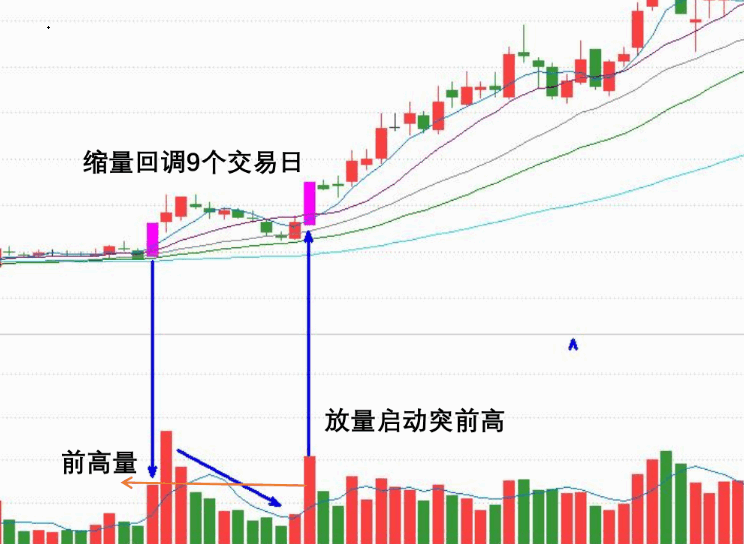 〖单阳不破N字战法〗副图/选股指标 单阳不破/涨停回马枪/比翼双飞/N字战法及选股器 通达信 源码