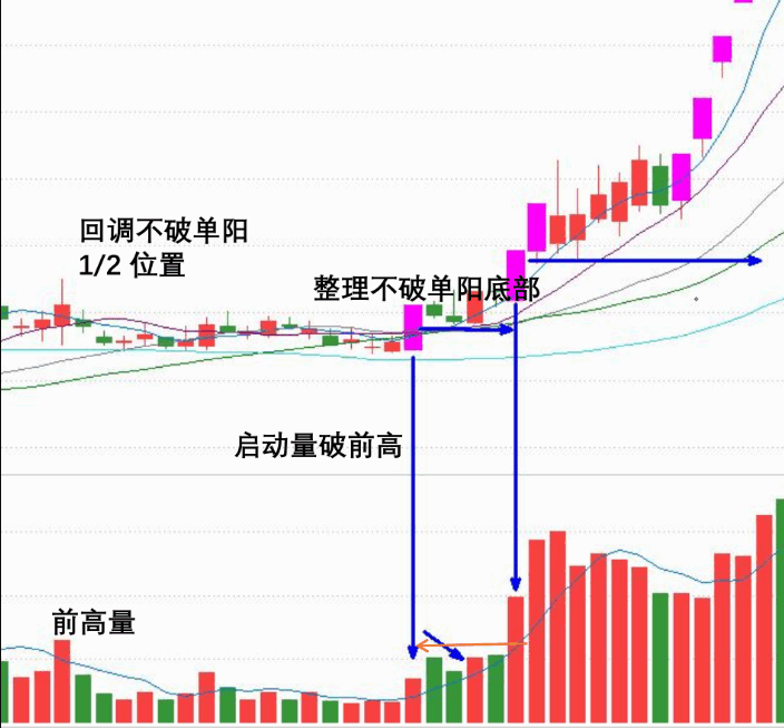 〖单阳不破N字战法〗副图/选股指标 单阳不破/涨停回马枪/比翼双飞/N字战法及选股器 通达信 源码