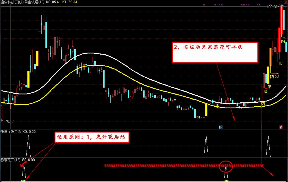 【金钻精品】〖涨停捉妖正版〗+〖春暖花开〗副图/选股指标 抓住后涨停 横扫所有牛股 通达信 源码