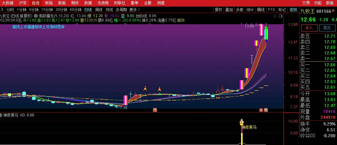 〖神奇黑马〗副图/选股指标 盘中预警 近期擒获华脉科技、九牧王等连板神奇黑马 通达信 源码