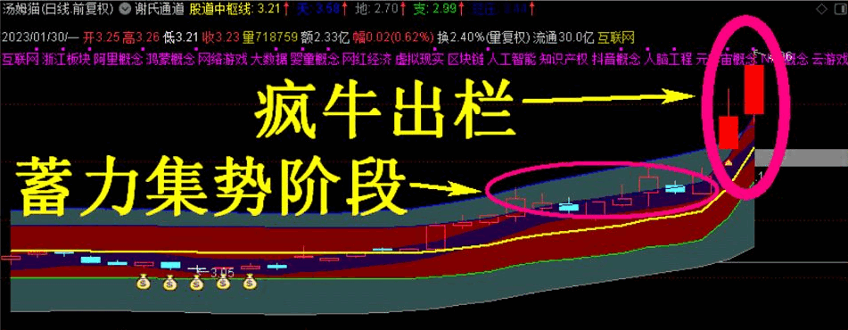 〖谢氏右侧战法〗主图/副图/选股指标 股道右侧战法 深挖低位补涨股票 短线题材神助力工具 通达信 源码