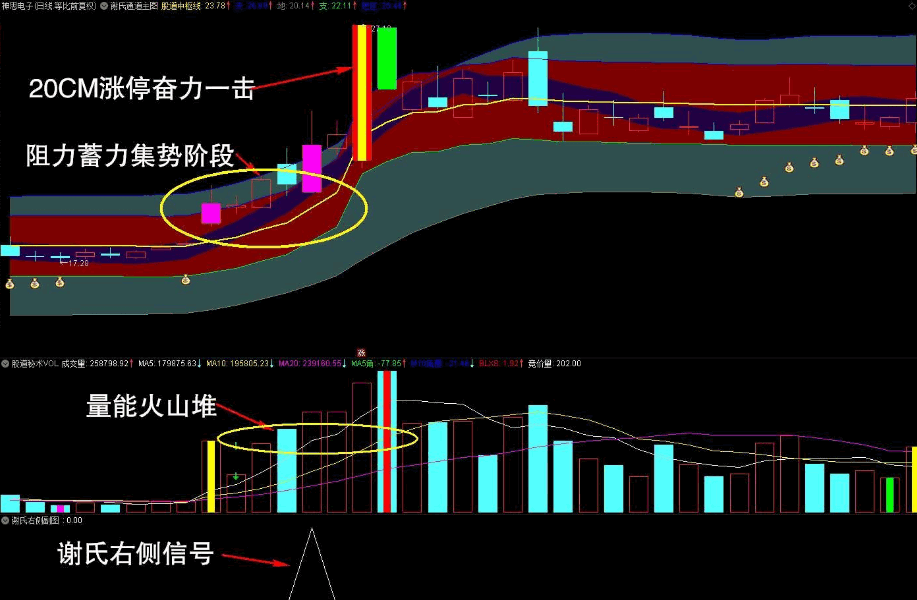 〖谢氏右侧战法〗主图/副图/选股指标 股道右侧战法 深挖低位补涨股票 短线题材神助力工具 通达信 源码