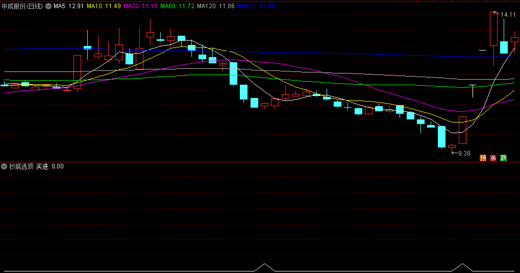 〖抄底逃顶〗副图/选股指标 轻轻松松抓大牛 买在抄底 赢在峰顶 通达信 源码