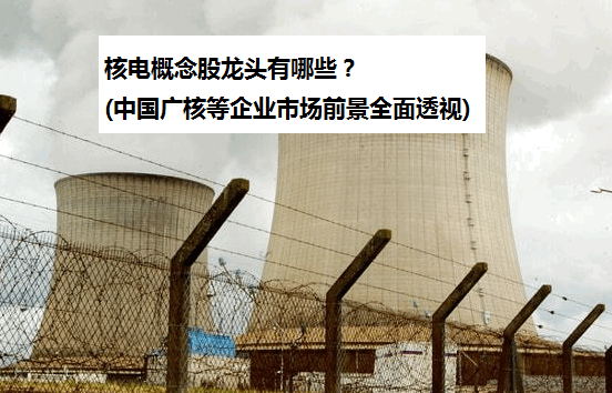 核电概念股龙头有哪些(中国广核等企业市场前景全面透视)