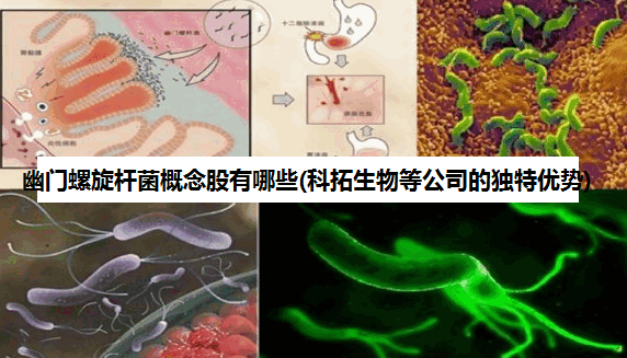 幽门螺旋杆菌概念股有哪些(科拓生物等公司的独特优势)