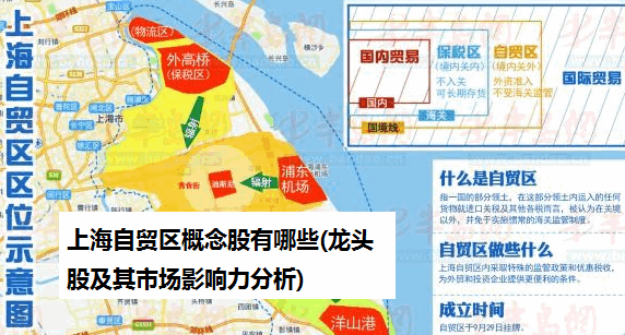 上海自贸区概念股有哪些(龙头股及其市场影响力分析)