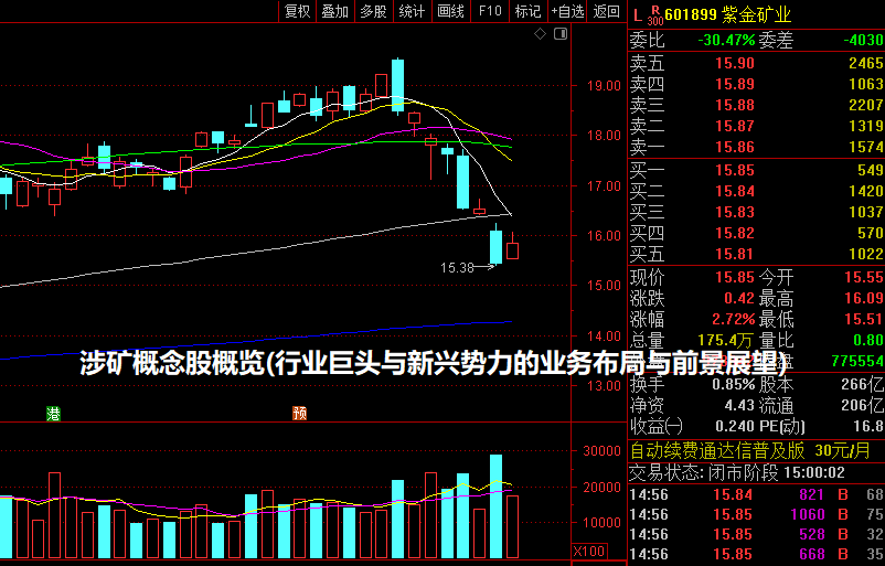 涉矿概念股概览(行业巨头与新兴势力的业务布局与前景展望)