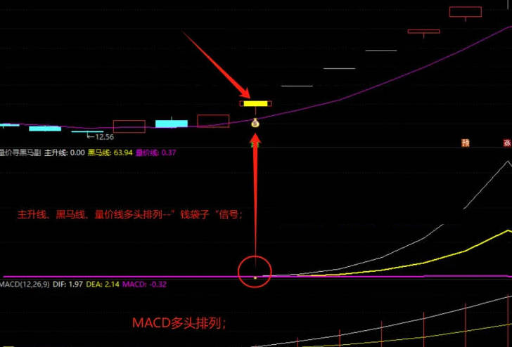【量价寻黑马】主图/副图/选股指标，量价趋势线穿越黑马标识线，并伴随金钻信号时，即视为理想入场契机