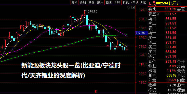 新能源板块龙头股一览(比亚迪/宁德时代/天齐锂业的深度解析)