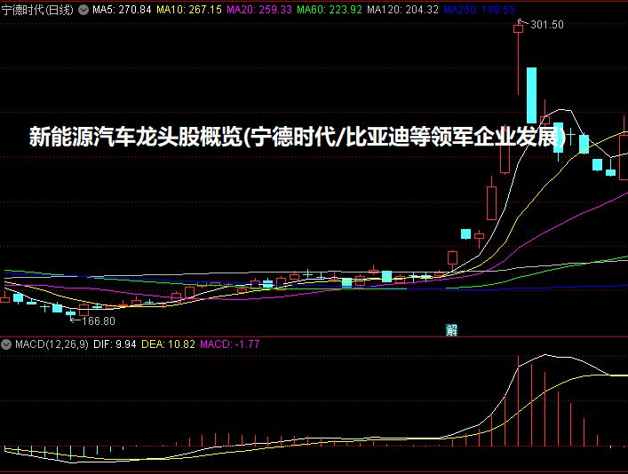 新能源汽车龙头股概览(宁德时代/比亚迪等领军企业发展)