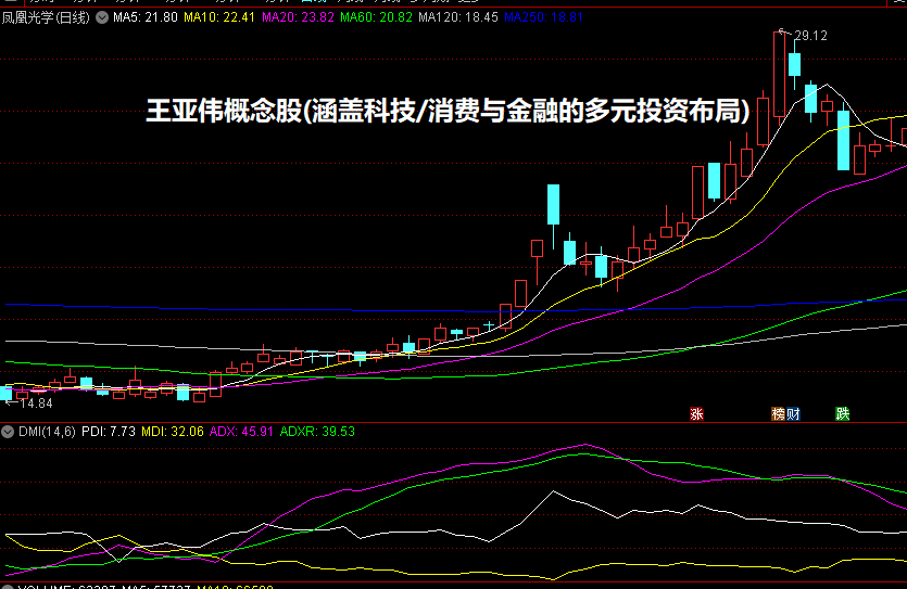 王亚伟概念股(涵盖科技/消费与金融的多元投资布局)