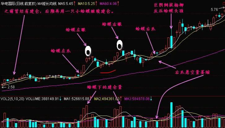经典K线形态战法之【金蟾回调抄底】副图+选股指标，附带金蟾形态技法讲解及图解！
